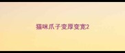 猫咪爪子变厚变宽