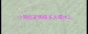 小狗吃完狗粮多久喝水