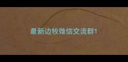 最新边牧微信交流群