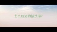 怎么给宠物猫洗澡