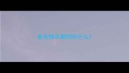 金毛掉毛期间吃什么