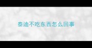 泰迪不吃东西怎么回事