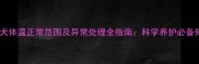 泰迪犬体温正常范围及异常处理全指南科学养护必备知识