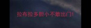 拉布拉多胆小不敢出门