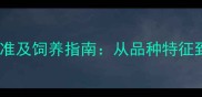 哈士奇犬种标准及饲养指南从品种特征到日常护理全
