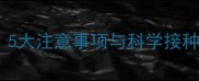 博美幼犬疫苗全攻略5大注意事项与科学接种方案附详细流程