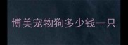 博美宠物狗多少钱一只