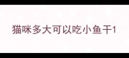 猫咪多大可以吃小鱼干