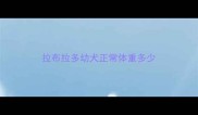 拉布拉多幼犬正常体重多少