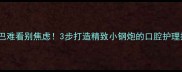 边牧嘴巴难看别焦虑3步打造精致小钢炮的口腔护理指南
