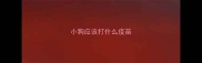 小狗应该打什么疫苗