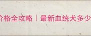 拉布拉多纯种价格全攻略最新血统犬多少钱附避坑指南