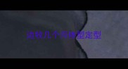 边牧几个月体型定型