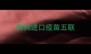 狗狗进口疫苗五联