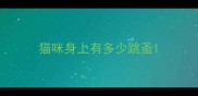 猫咪身上有多少跳蚤