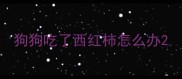 狗狗吃了西红柿怎么办