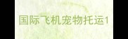 国际飞机宠物托运