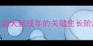 博美犬体长发育全从幼犬到成年的关键生长阶段附科学养护指南