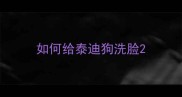 如何给泰迪狗洗脸