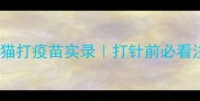 凶到炸裂的橘猫打疫苗实录打针前必看注意事项清单