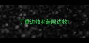 丁香边牧和蓝陨边牧