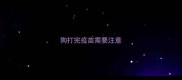 狗打完疫苗需要注意