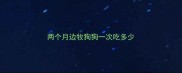两个月边牧狗狗一次吃多少