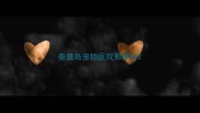 秦皇岛宠物医院那家好