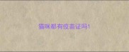 猫咪都有疫苗证吗