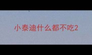 小泰迪什么都不吃