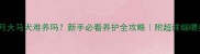 三个月大马犬难养吗新手必看养护全攻略附超详细喂养清单