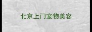 北京上门宠物美容