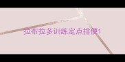 拉布拉多训练定点排便