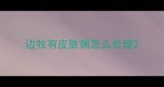 边牧有皮肤病怎么处理