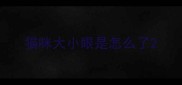 猫咪大小眼是怎么了