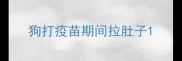 狗打疫苗期间拉肚子