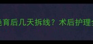 猫咪绝育后几天拆线术后护理全指南