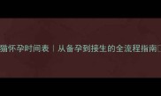母猫怀孕时间表从备孕到接生的全流程指南