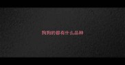 狗狗的都有什么品种