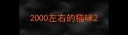 2000左右的猫咪