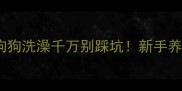 未打疫苗的狗狗洗澡千万别踩坑新手养宠必看全攻略