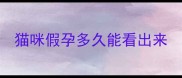 猫咪假孕多久能看出来