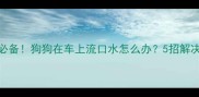 自驾游必备狗狗在车上流口水怎么办5招解决吐舌头难题