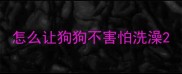 怎么让狗狗不害怕洗澡