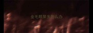 金毛眼屎多怎么办