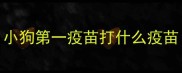 小狗第一疫苗打什么疫苗