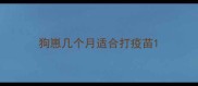 狗崽几个月适合打疫苗