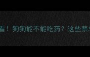 打疫苗前必看狗狗能不能吃药这些禁忌别踩坑