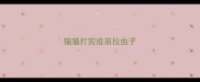 猫猫打完疫苗拉虫子