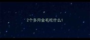 2个多月金毛吃什么